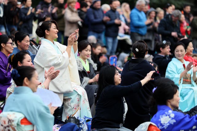 Japanese Hanami festival in Dublin