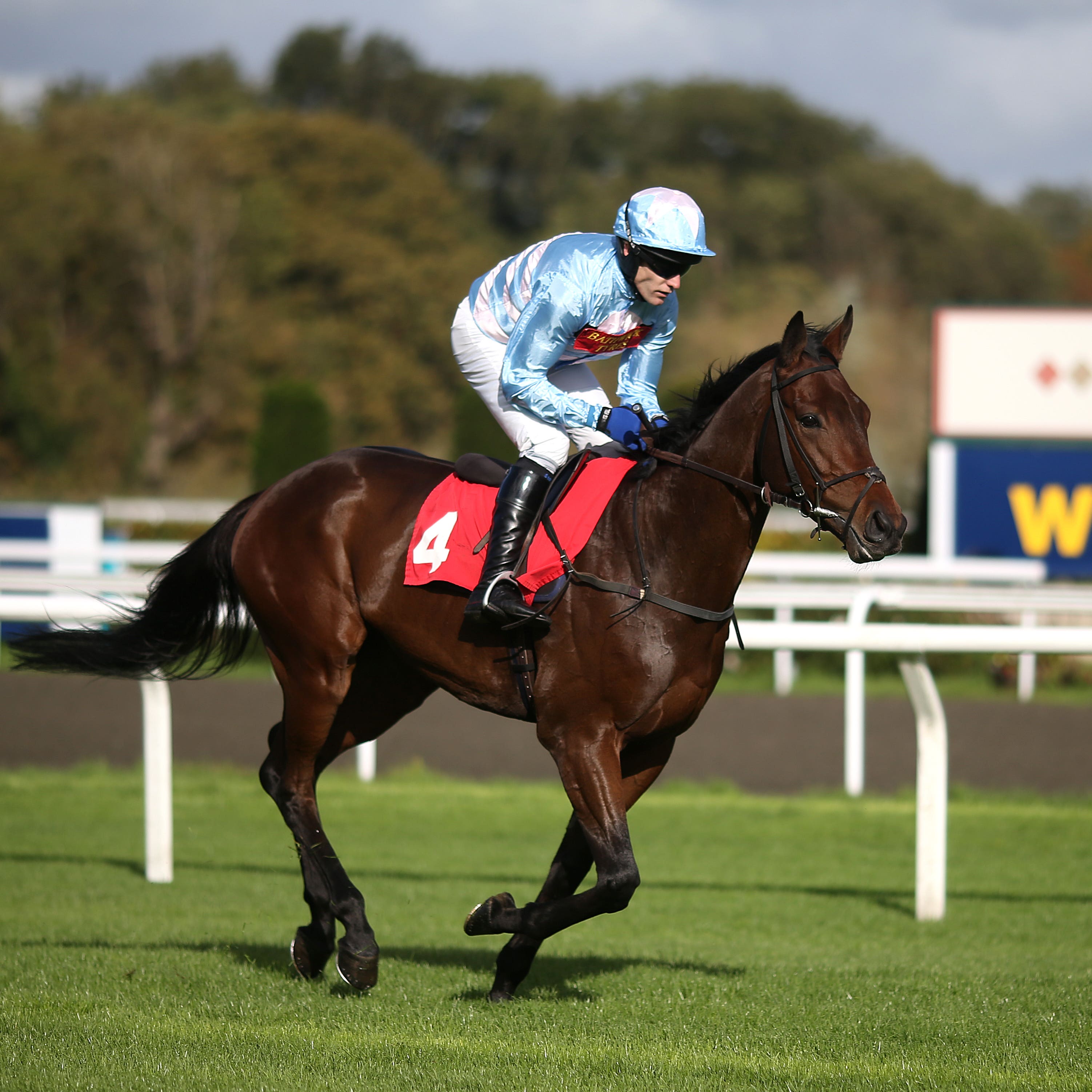 Stars Over The Sea at Kempton