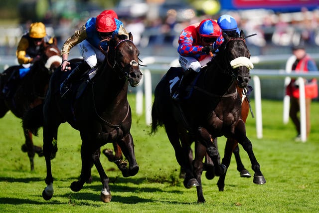 Aesterius (left) and Big Mojo (right) will lock horns again at Del Mar