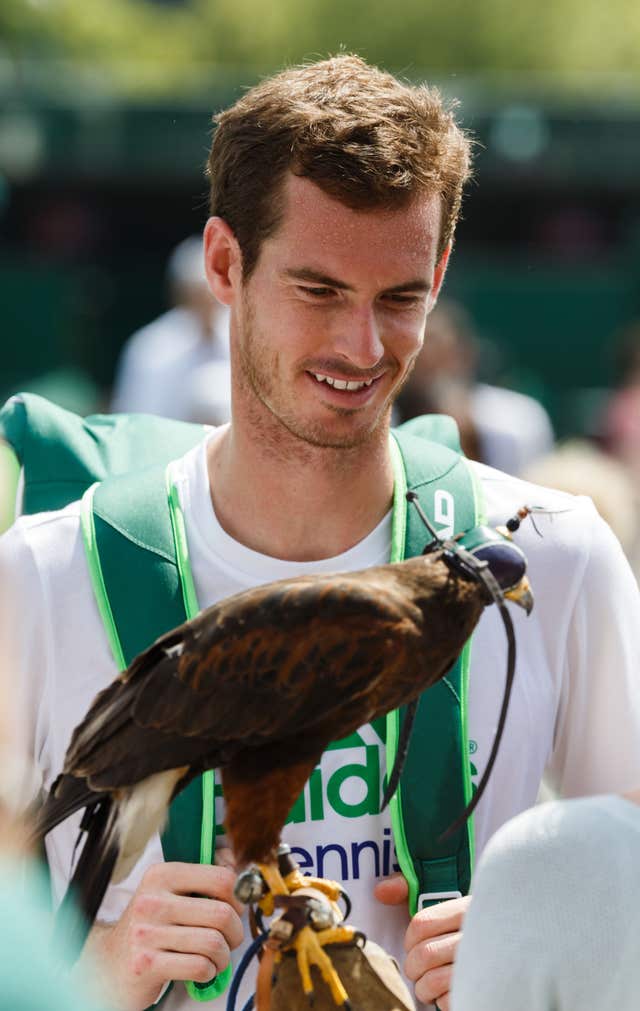 Tennis – 2014 Wimbledon Championships – Practice Day One – The All England Lawn Tennis and Croquet Club