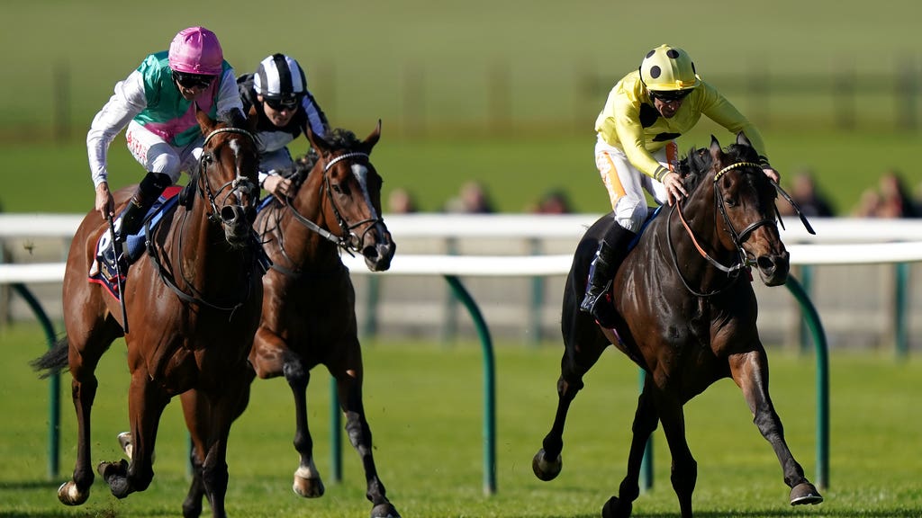 Laurel (left) made light work of her opposition in the Snowdrop Fillies' Stakes at Kempton