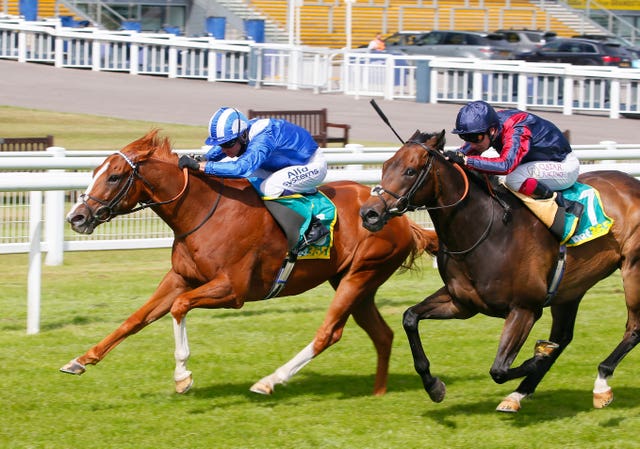 Tabdeed (left) got the better of The Tin Man at Newbury last year