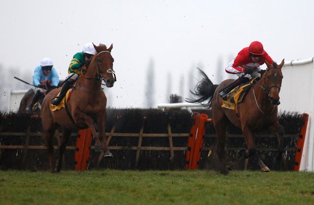 Ballyandy (right) has the Pertemps Final as his likely Cheltenham target