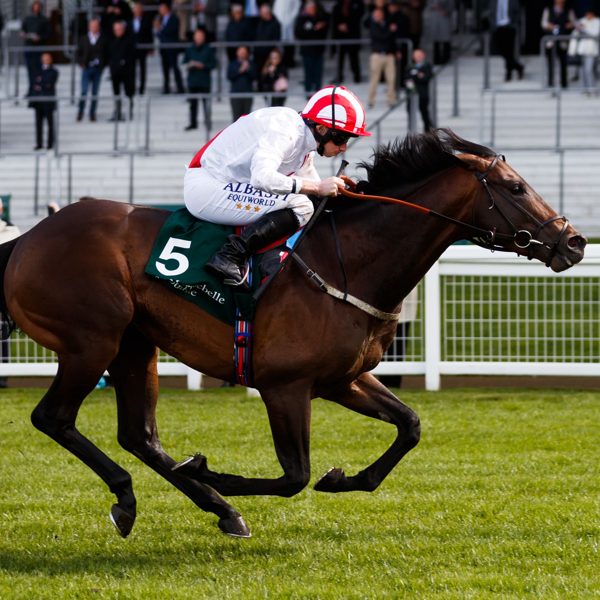 Invincible Army winning at Ascot earlier in the month (John Walton/PA)