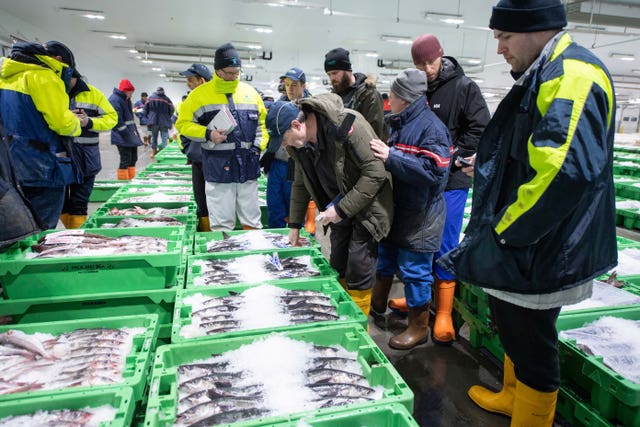 Peterhead Fish Market