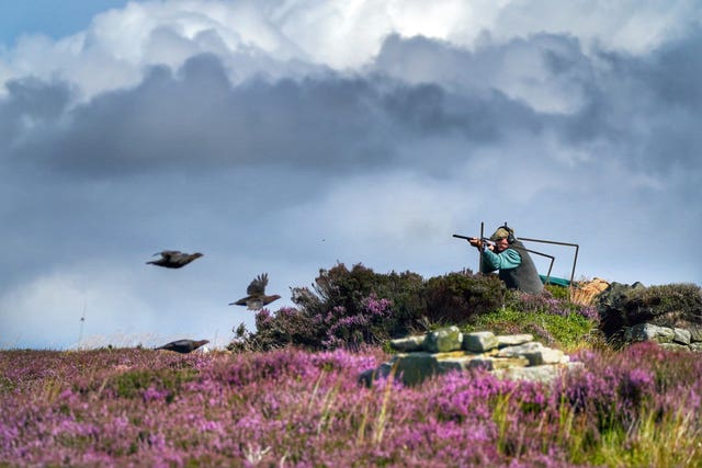 The Glorious 12th marks the official start of the grouse shooting season (Owen Humphreys/PA)