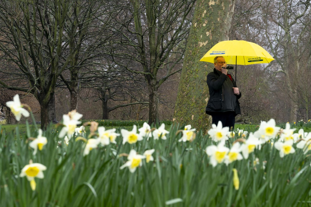 Showers likely across UK over Easter weekend | Guernsey Press