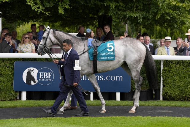 Field Of Gold at Goodwood 