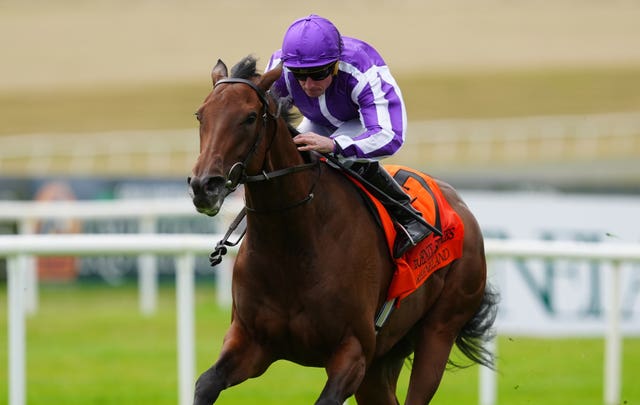 Sun Goddess was Aidan O'Brien's only Group One winner in August