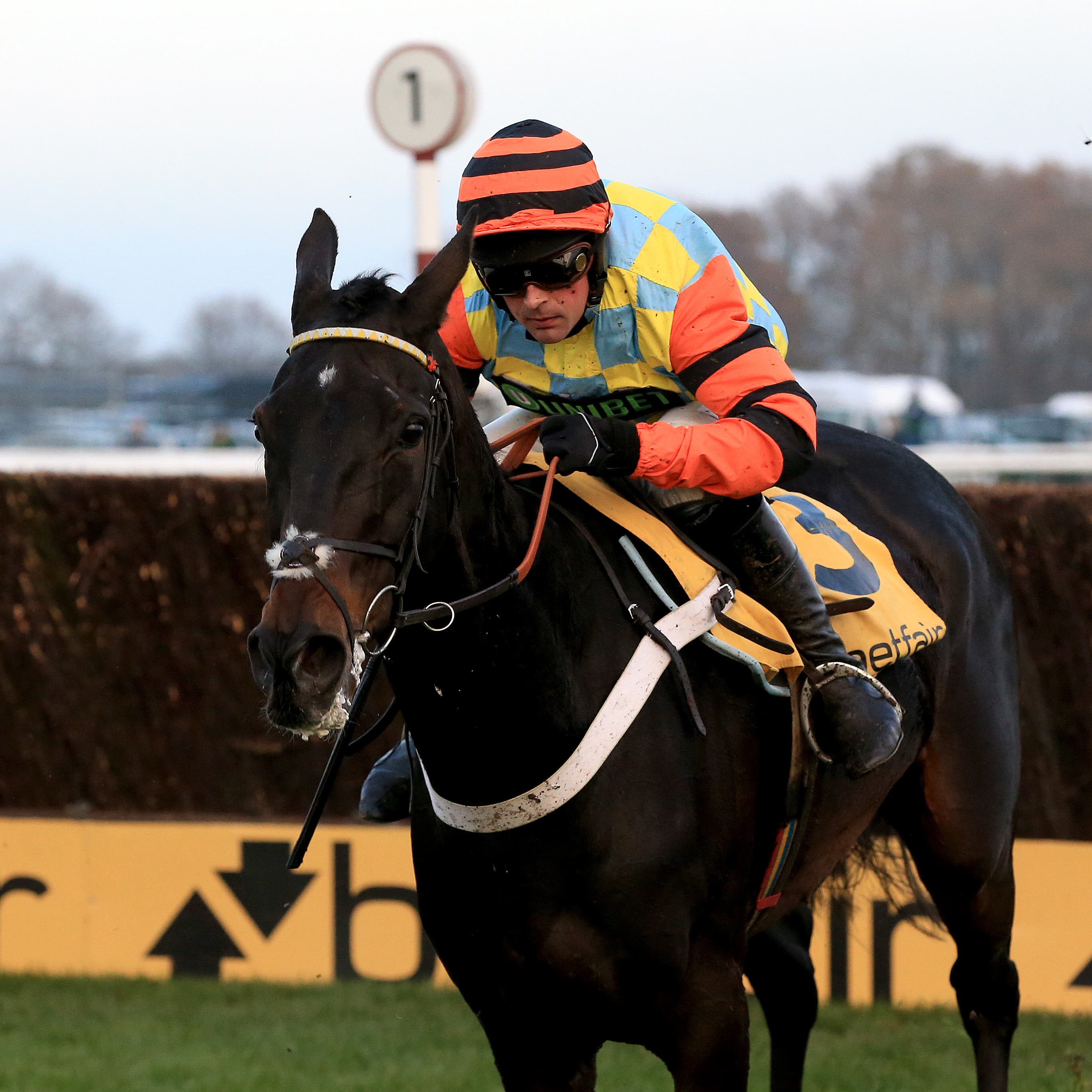 Nicky Henderson hopes Might Bite will bounce back to form in the Magners Cheltenham Gold Cup