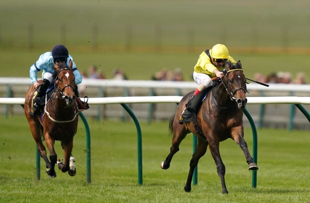 Tajalla, here making an impressive debut at Newmarket, has been ruled out of Royal Ascot