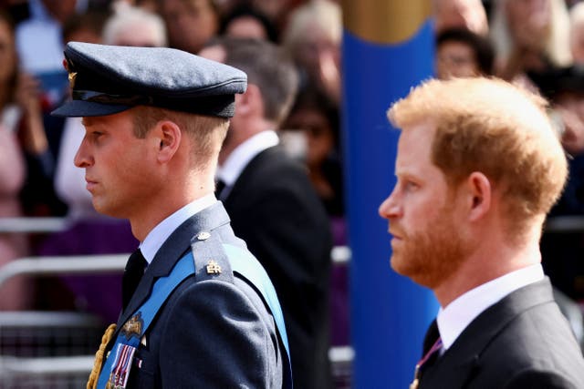 The Prince of Wales and Duke of Sussex