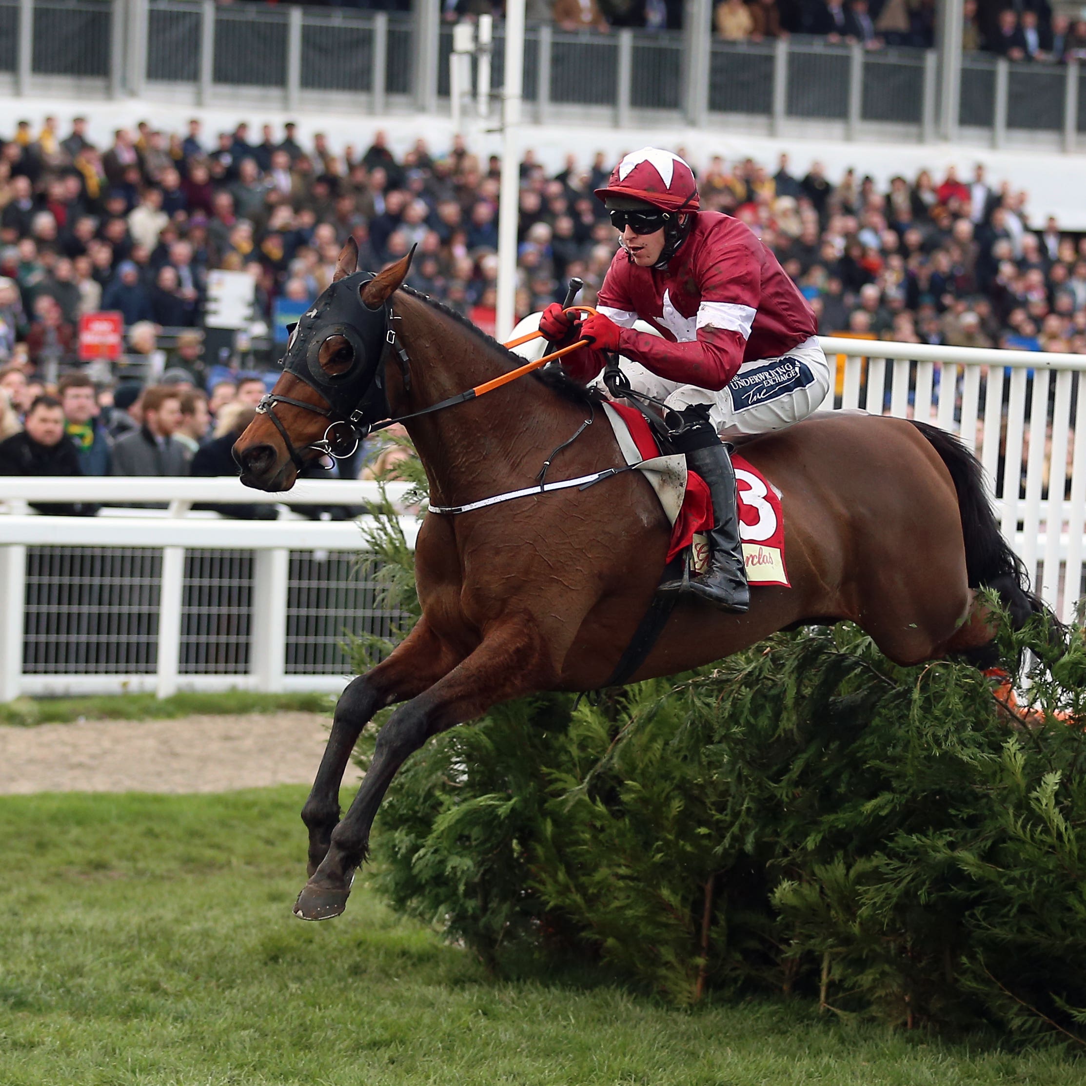 Tiger Roll jumps the last well clear