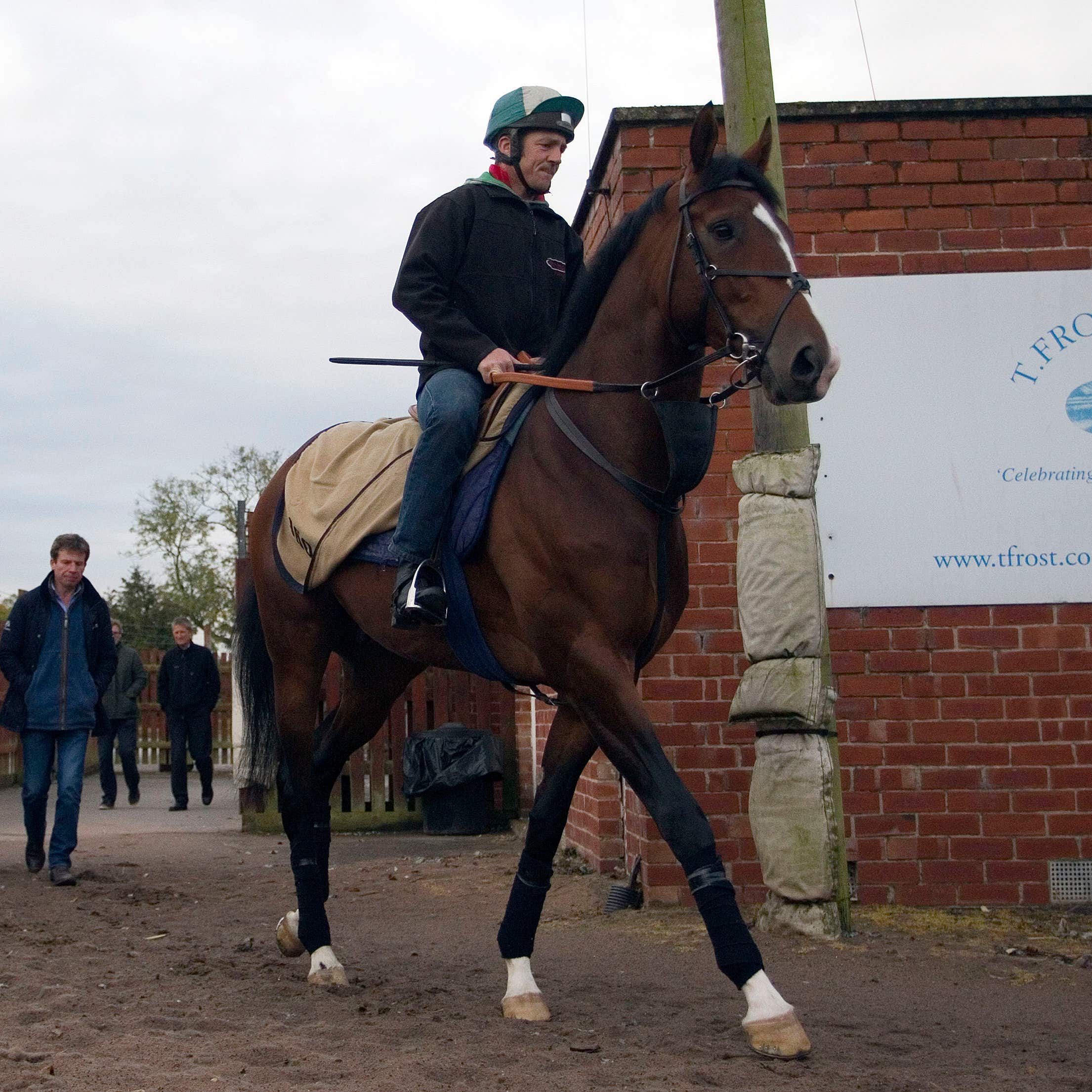 Toast of New York is the star attraction at Lingfield on Wednesday