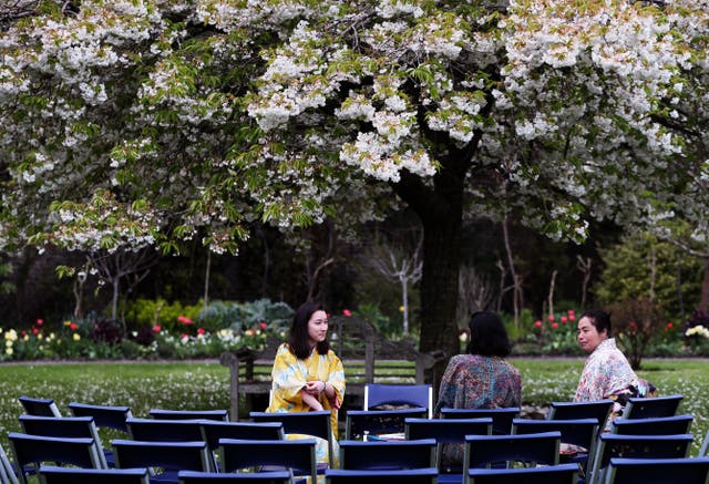 Japanese Hanami festival in Dublin