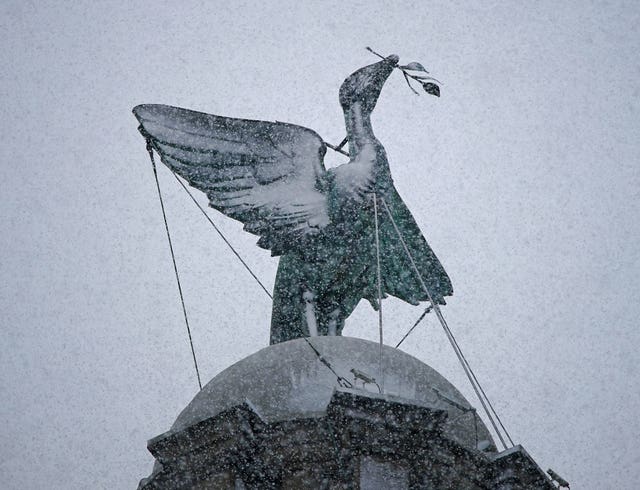Snow was falling around the Liver bird statue on top of the Liver Building in Liverpool