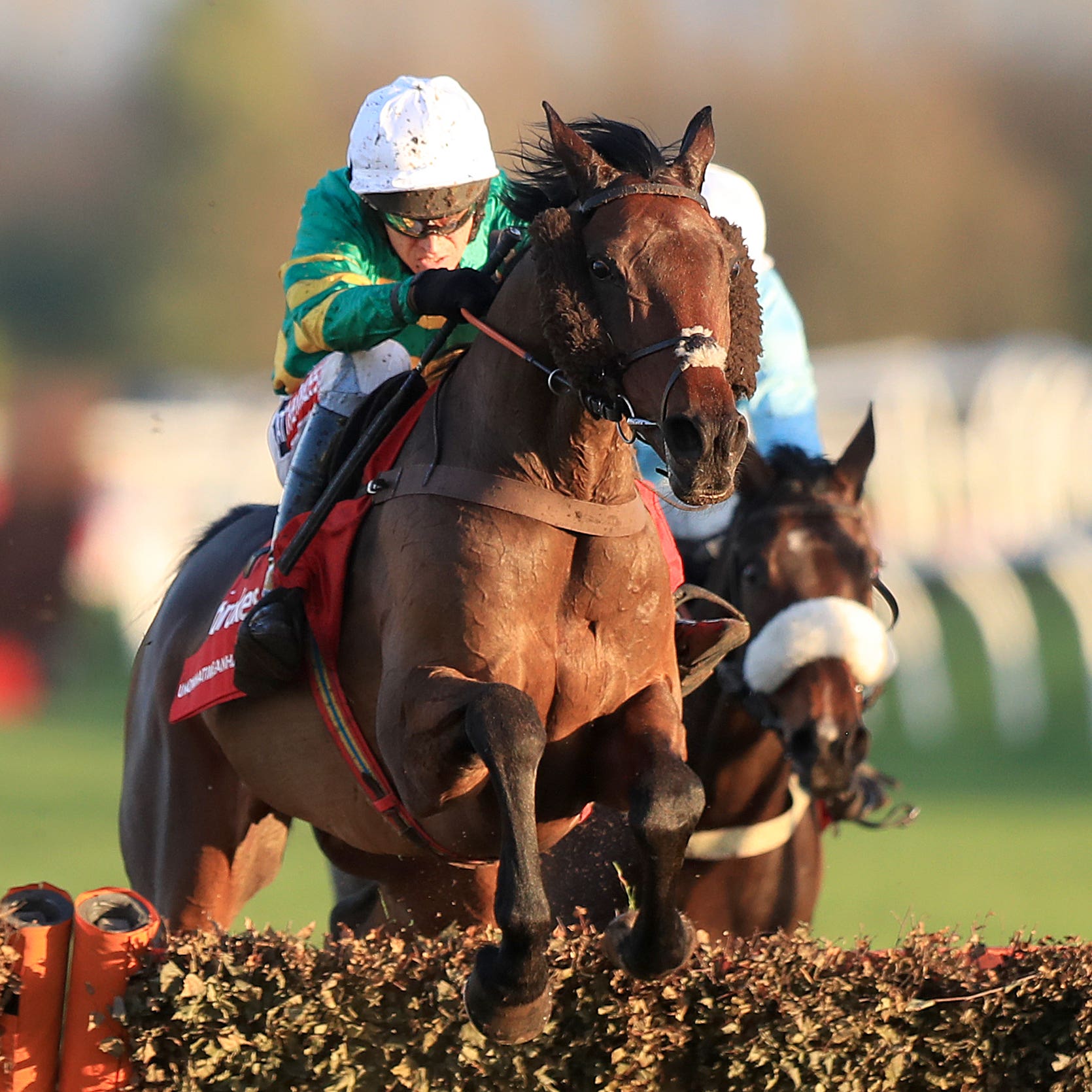 Unowhatimeanharry wins the Long Distance Hurdle for the second time