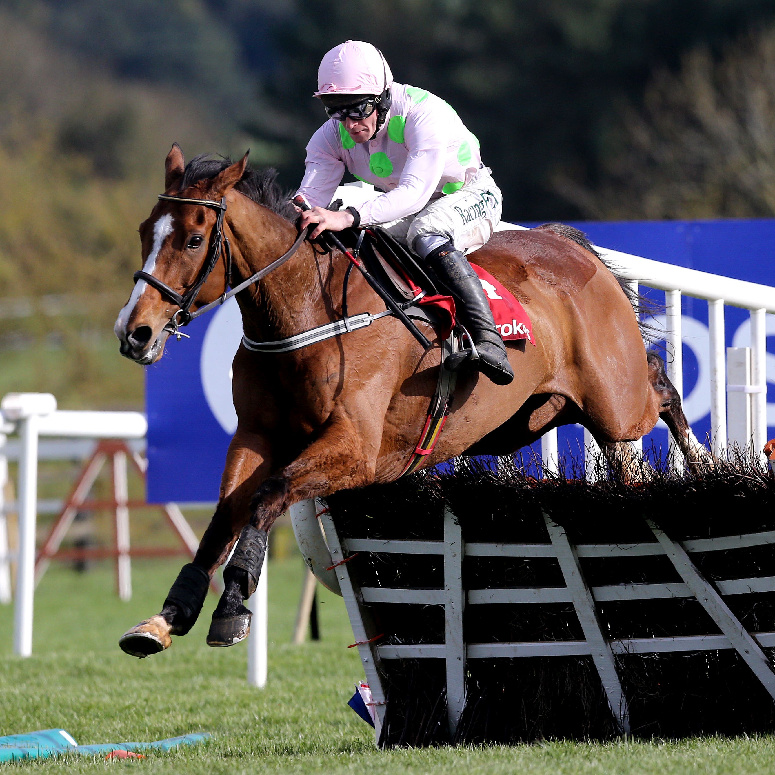 Faugheen is set to step back up in distance at Leopardstown