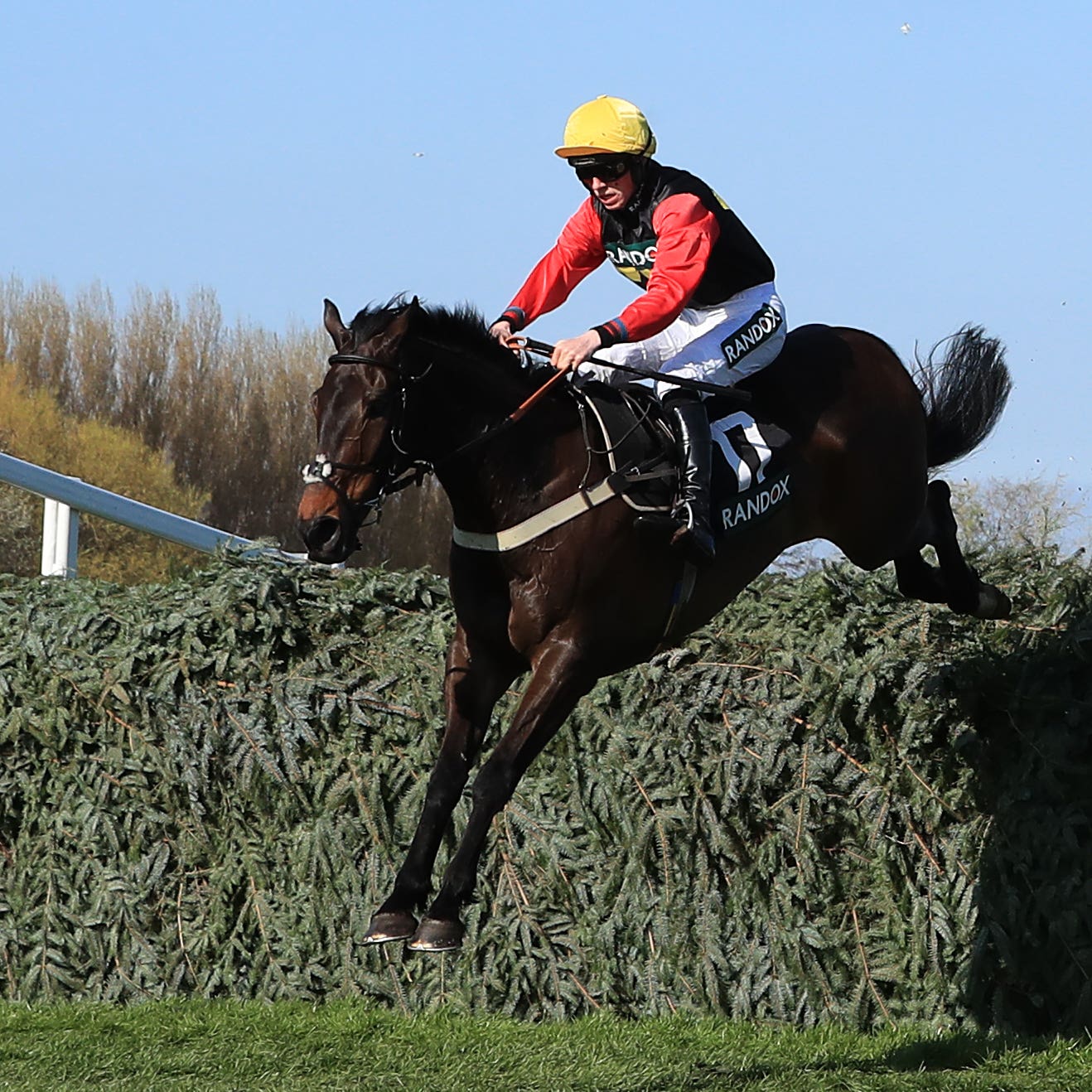 Harry Cobden, twice winner of the Topham on Ultragold, is a supporter of Aintree's course walks for jockeys