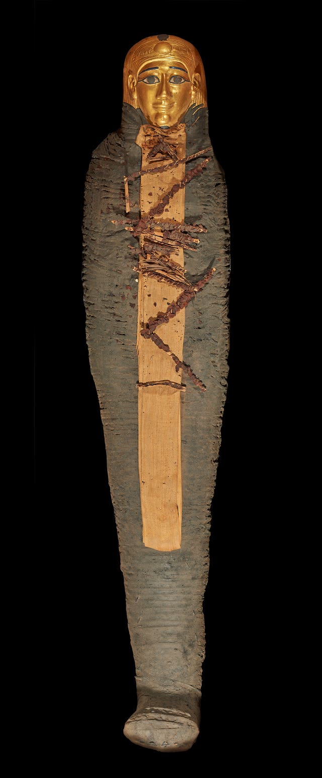 Ancient Egyptian mummy study
