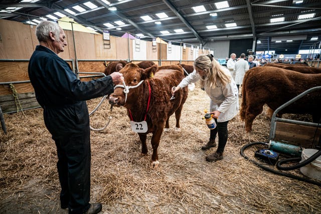 The Cornish Winter Fair