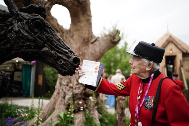 A Chelsea Pensioner admires a driftwood sculpture