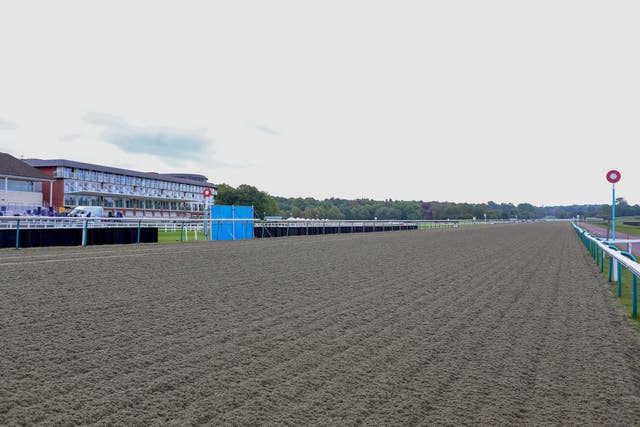 Lingfield hosts the feature all-weather meeting 