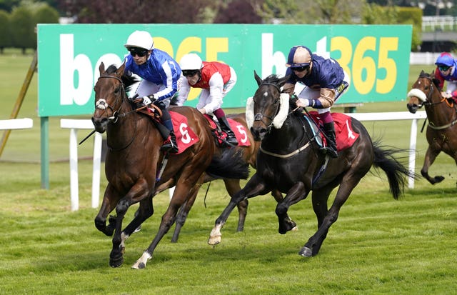 Queen All Star is a course winner