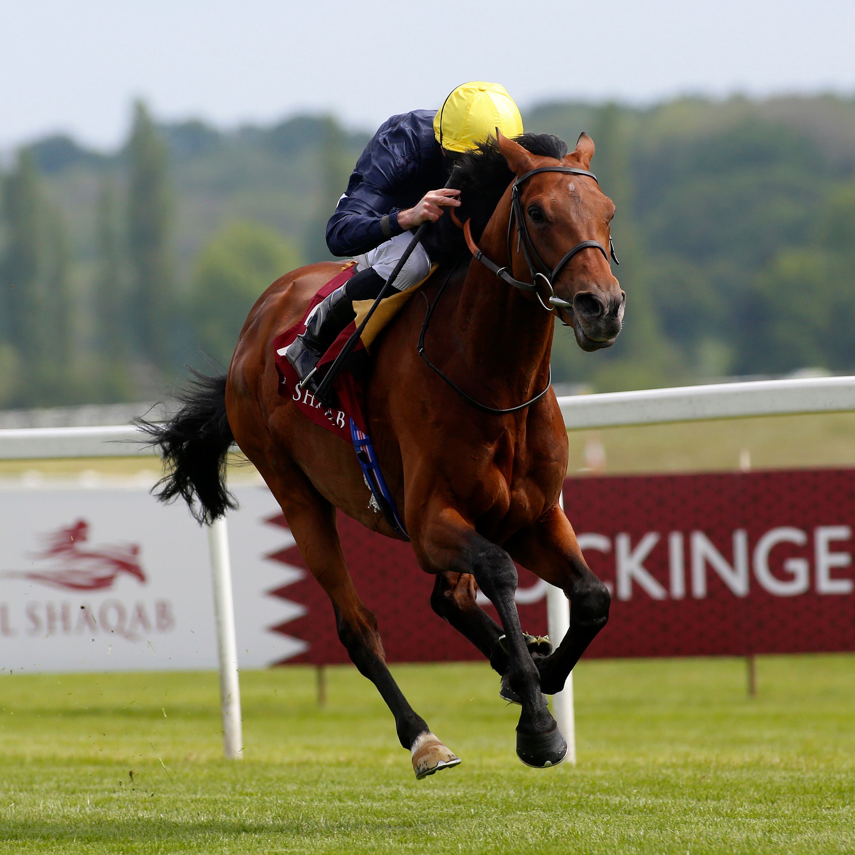 Crystal Ocean in full flight at Newbury
