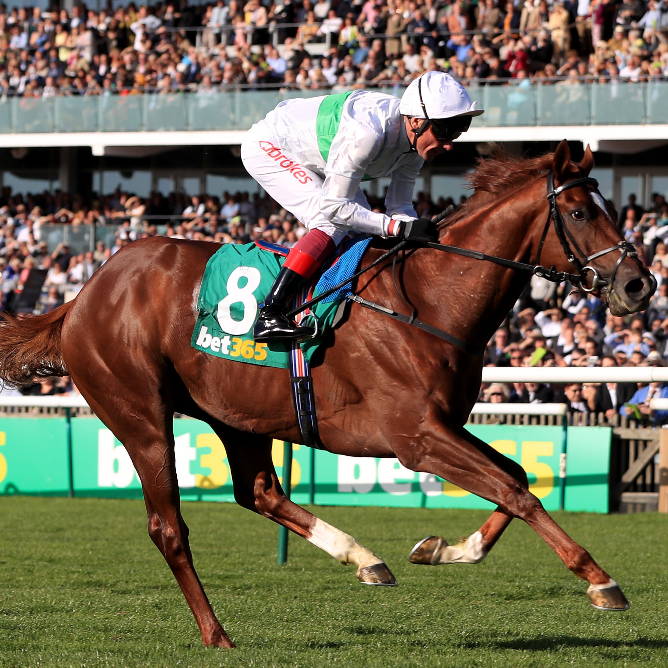 Wissahickon heads the Winter Derby field