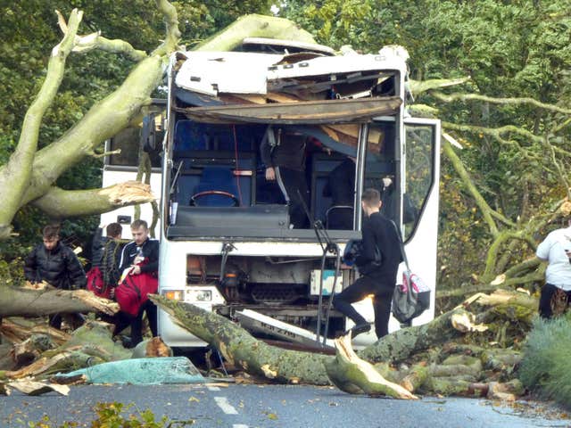 A fallen tree crushing a coach