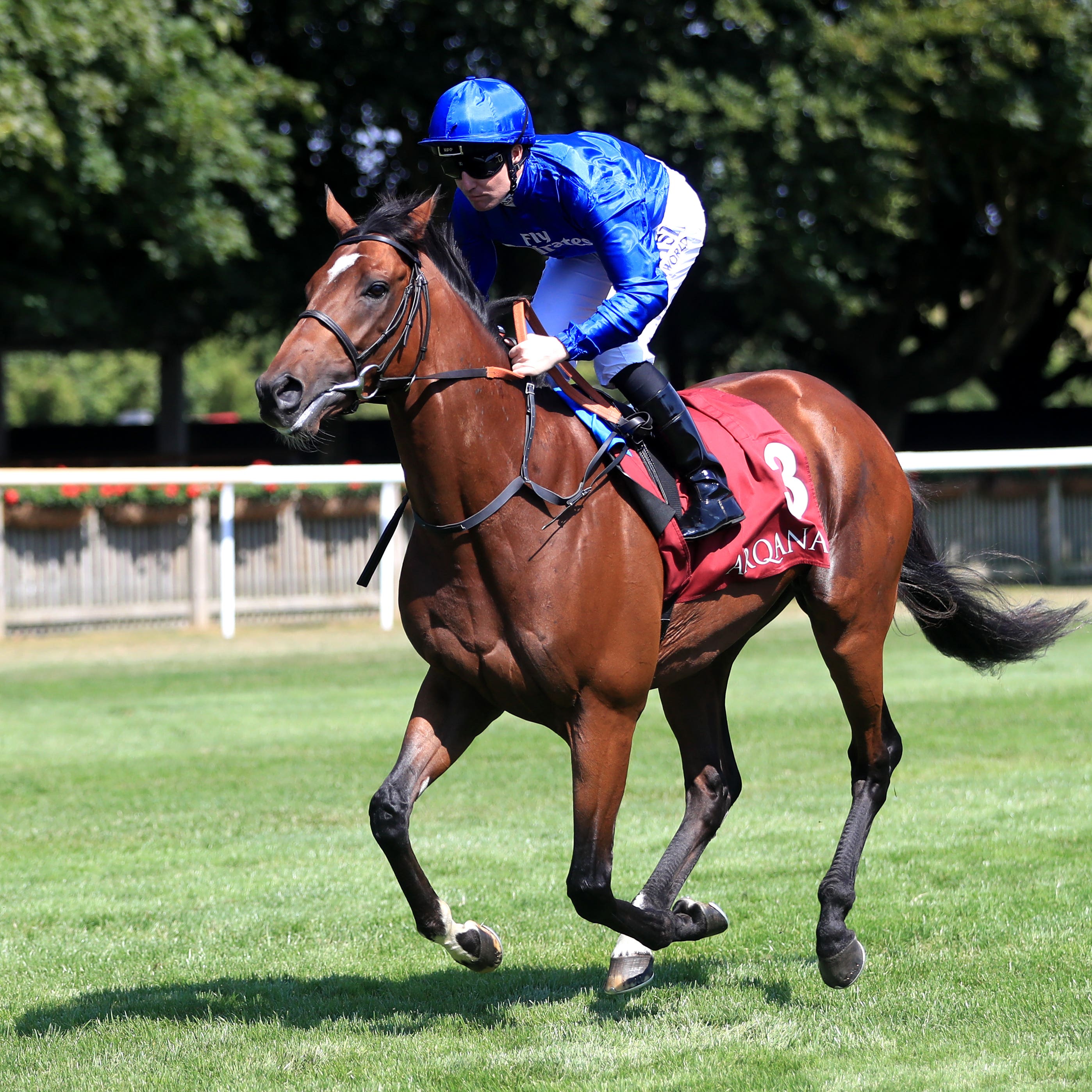 Best Solution, winner of the Group One feature at Hoppegarten on Sunday