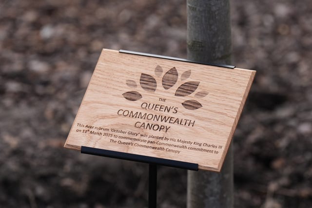 The plaque on show next to the tree which details the sapling was planted by the King to mark the canopy project