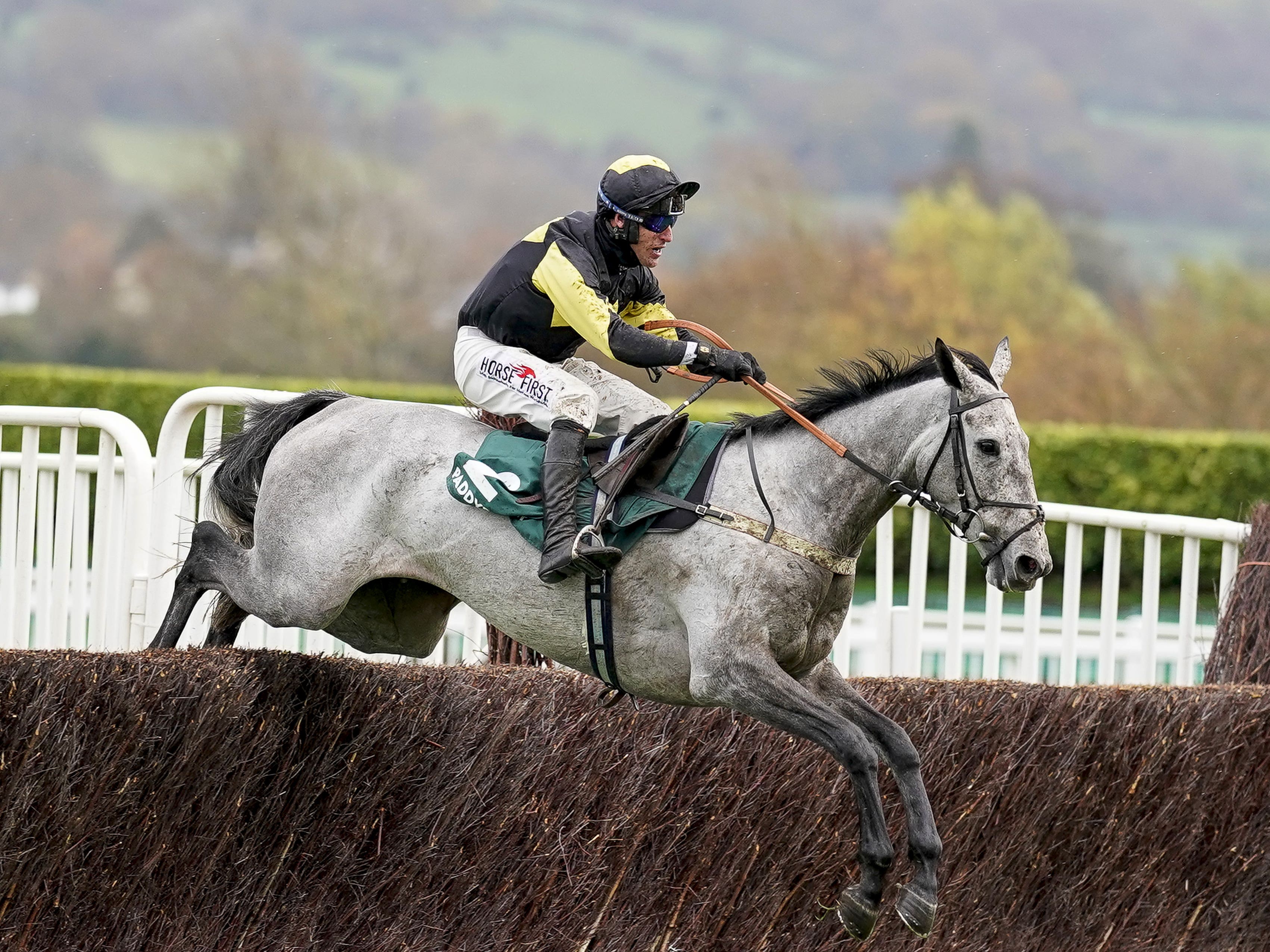 Connections of Eldorado Allen feel the trip ‘will be ideal’ at Kempton (Alan Crowhurst/PA)