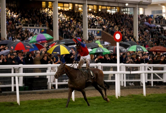 Facile Vega in front of packed stands at Cheltenham 