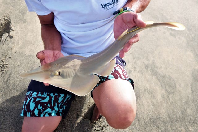 Fauna & Flora’s Species to Watch list 2026