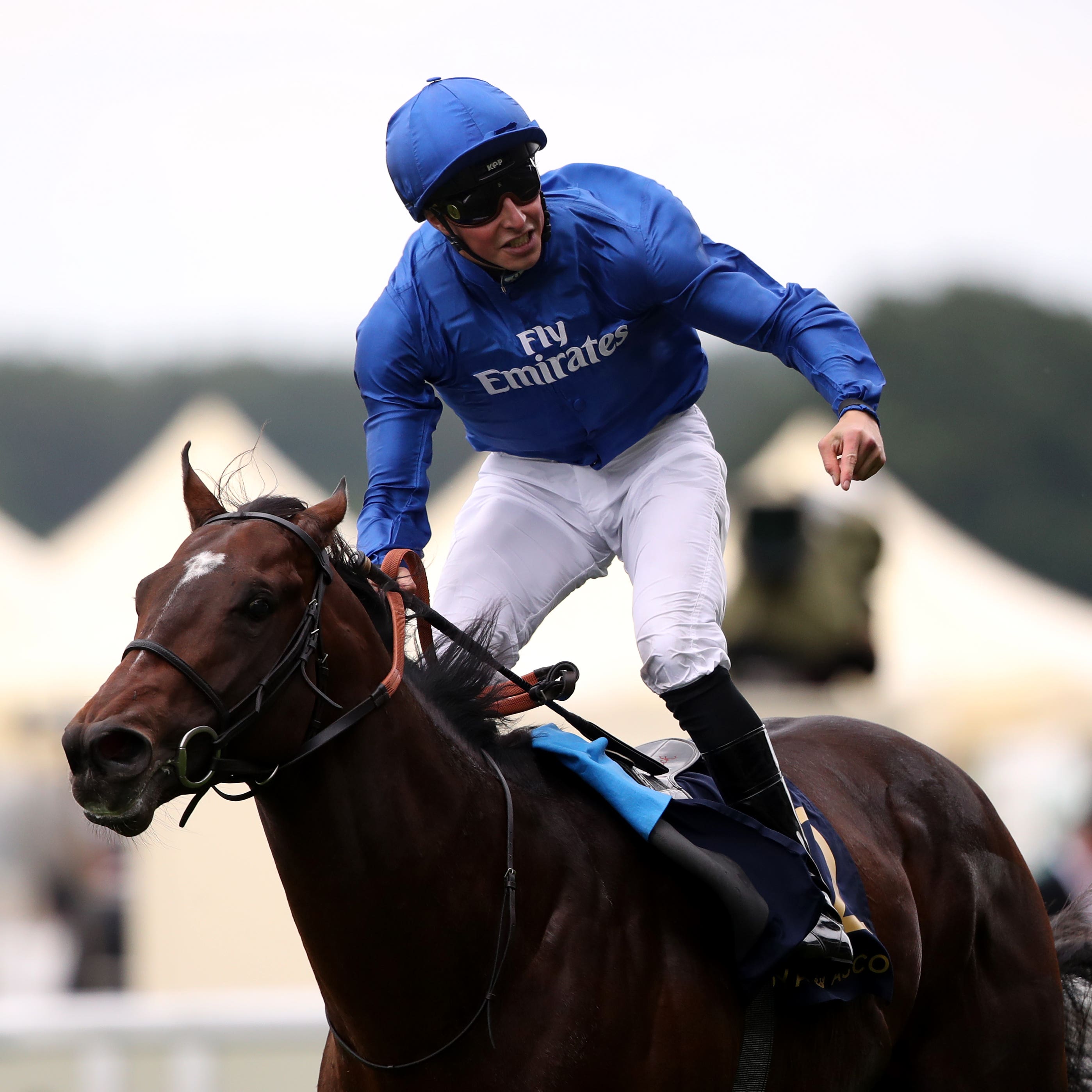 Blue Point could go for the Nunthorpe next