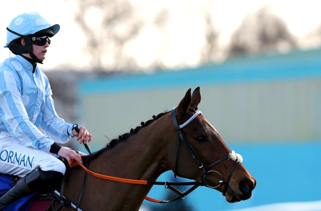 Honeysuckle after finishing second in the Irish Champion Hurdle