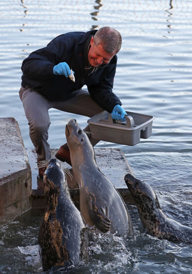 Willie Rennie feeds seals