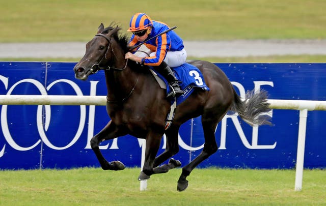 Meditate in action at the Curragh