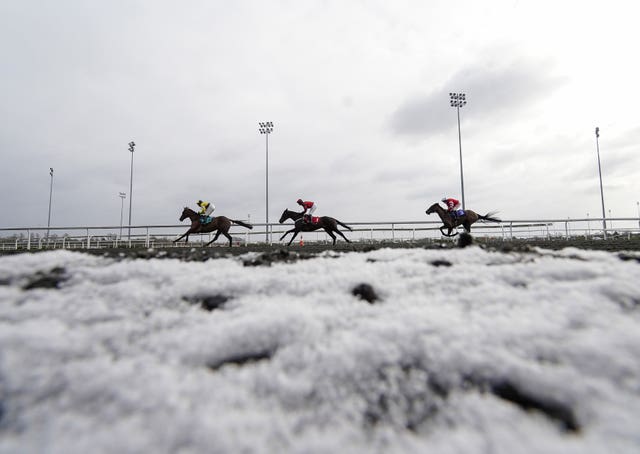 Racehorses in the snow