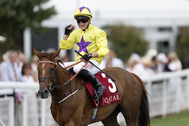 Sea La Rosa, here at Goodwood, has won four times this season and was a Group One winner at ParisLongchamp 