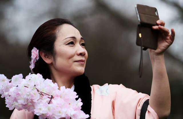 Japanese Hanami festival in Dublin