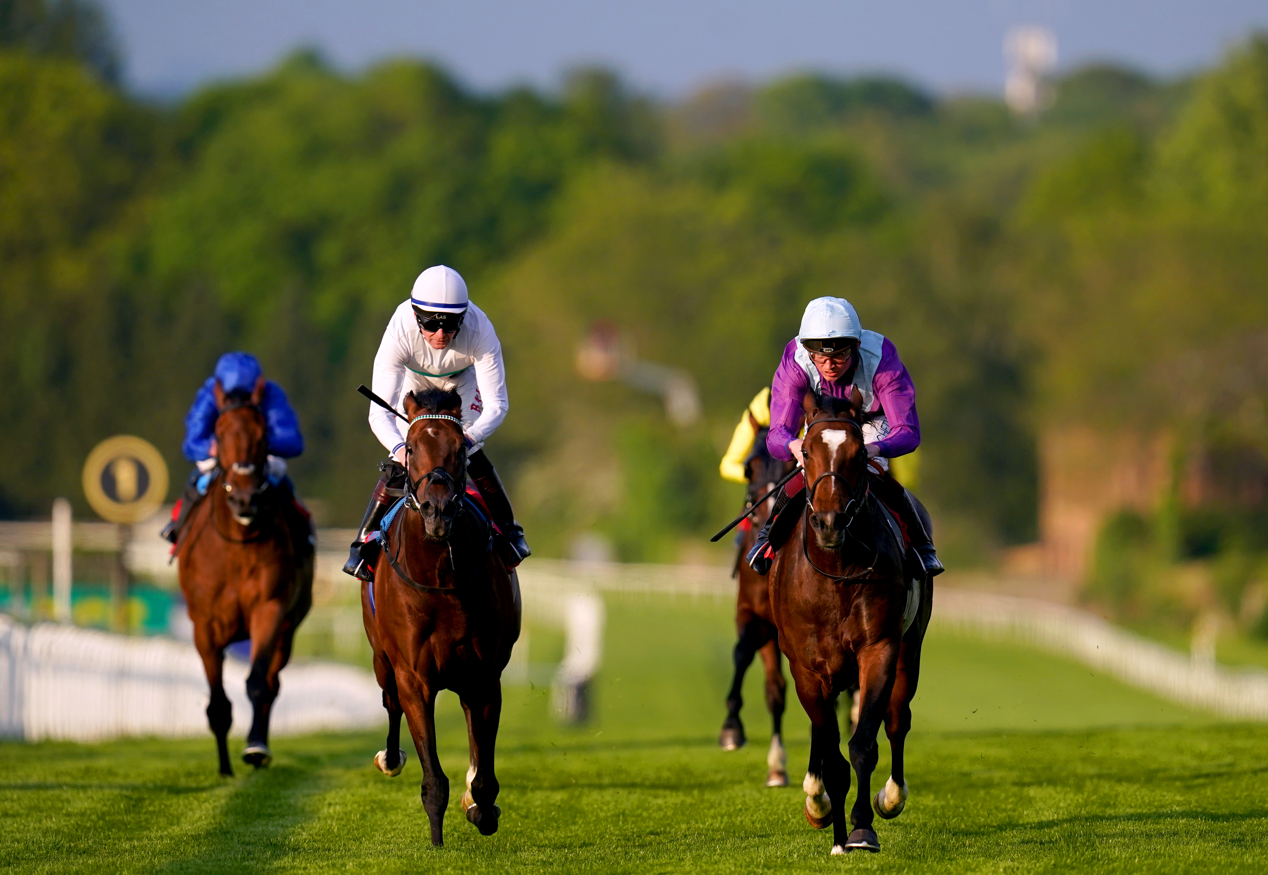 Sandown Park Races &ndash; Tuesday May 16th