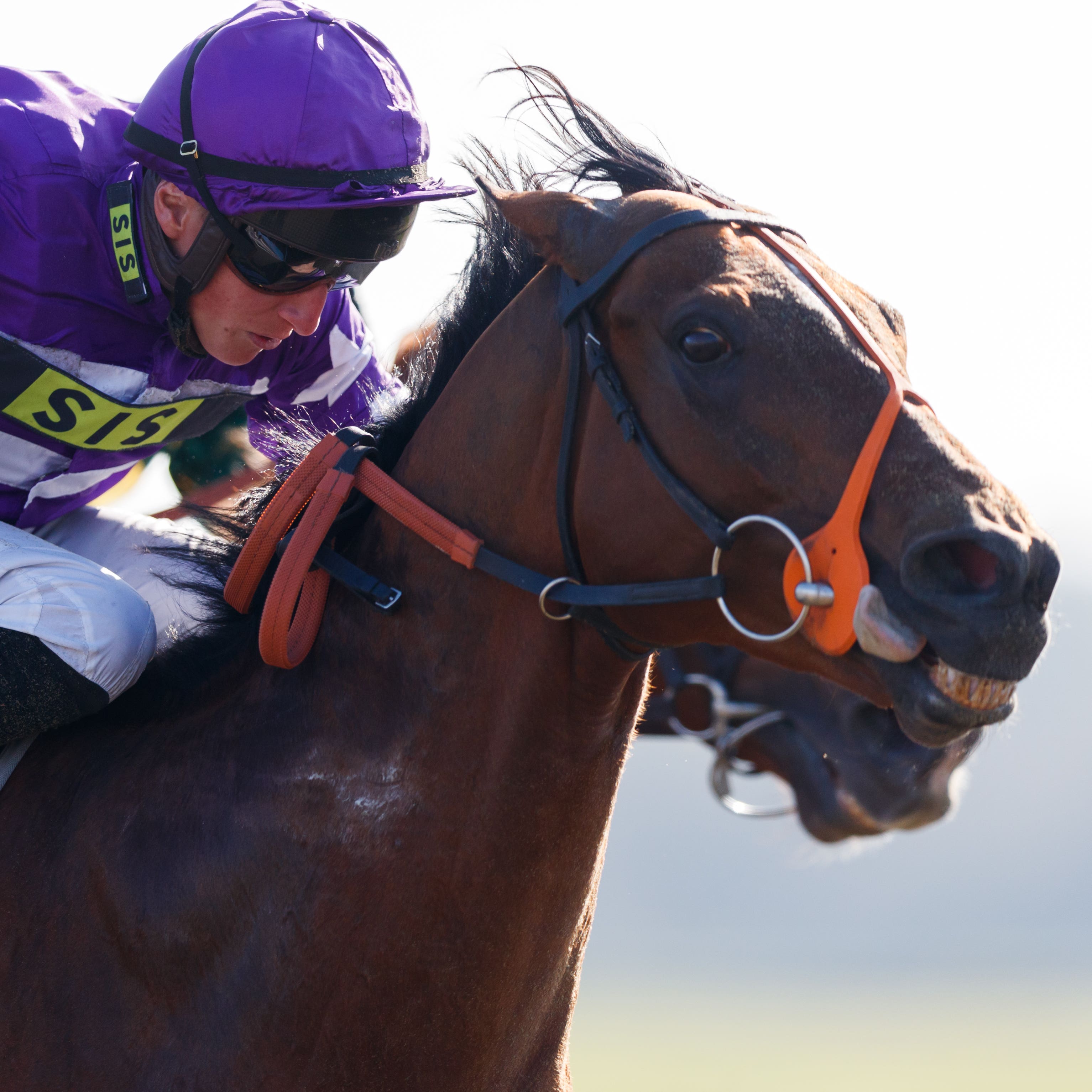 Oh This Is Us thrilled connections in victory at Lingfield