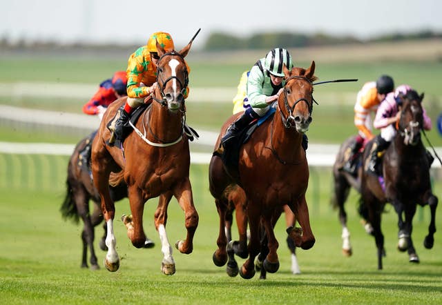 Like A Tiger (right), here finishing second on debut, made a winning return to the Rowley Mile in the Price Promise At bet365 Handicap