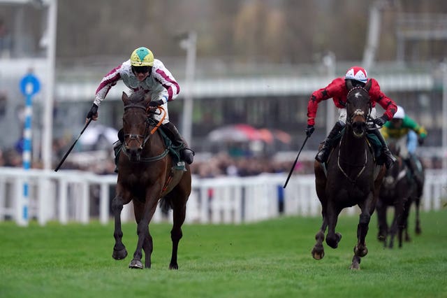 Buddy One was a Cheltenham winner in November