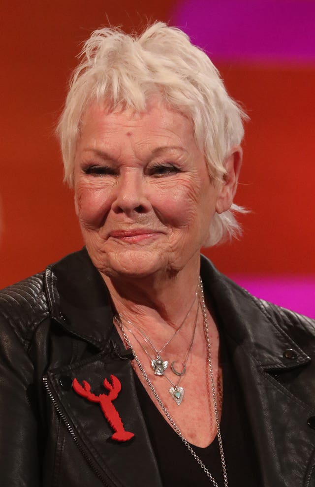 Dame Judi Dench comments