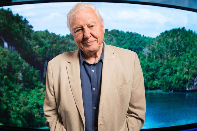 Sir David Attenborough has supported the Earthshot Prize since its earliest days. David Parry/PA Wire