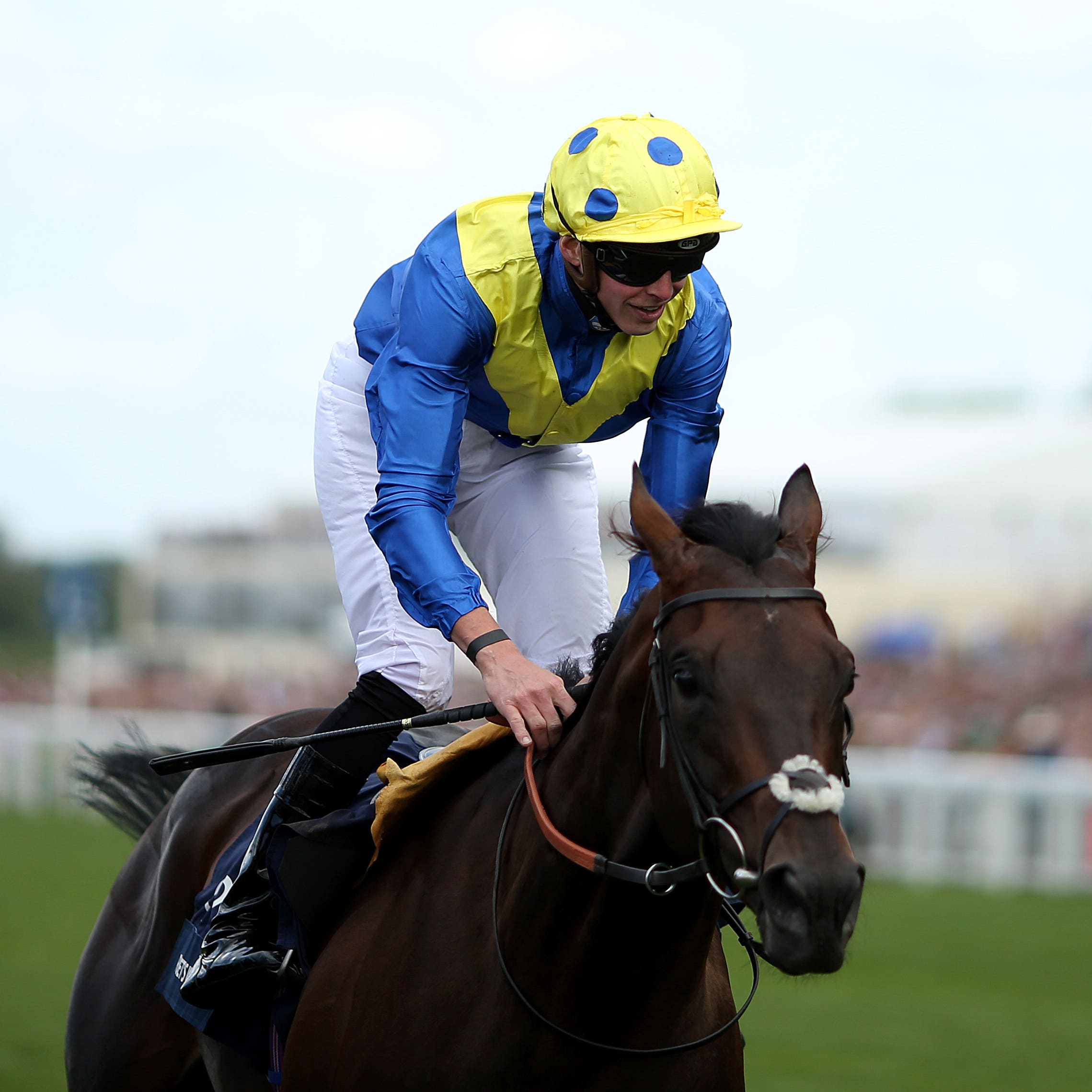 Poet's Word will run at York next week